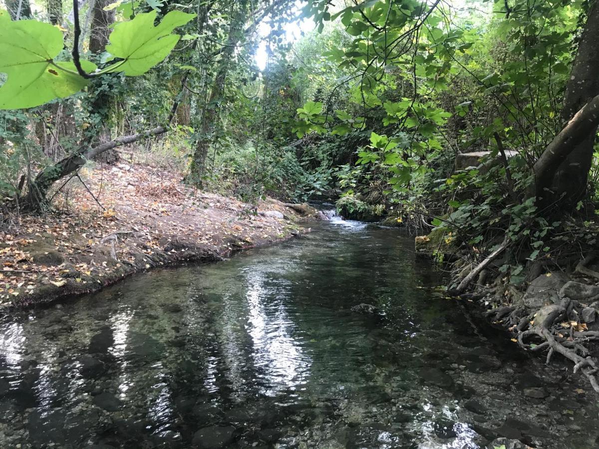 Bosque Alto Hébergement de vacances *